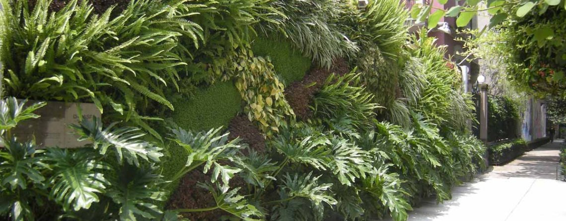 Jardín Vertical Instituto Goethe